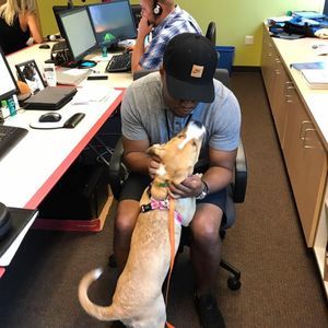 Meet your Posher, Maurice